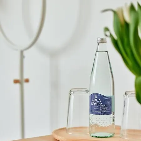 Olivia -einzigartiges Wohnerlebnis In Kaiserslauterns Herz Apartment